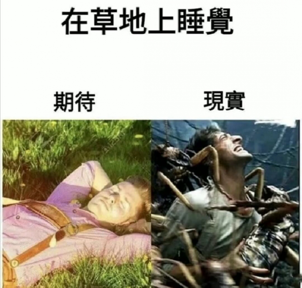 淦