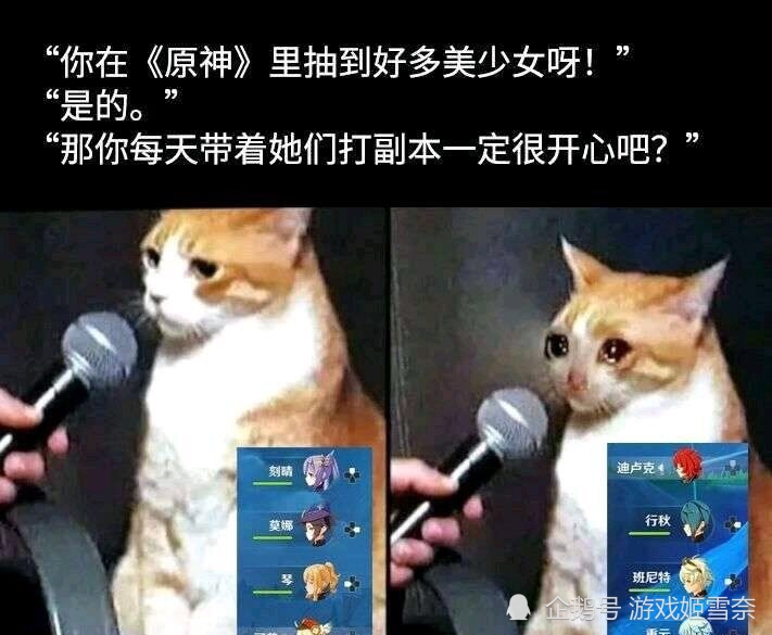真...