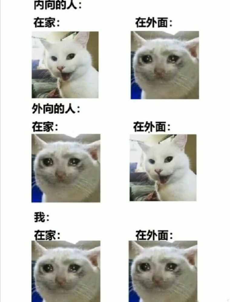 窗外的千纸鹤～