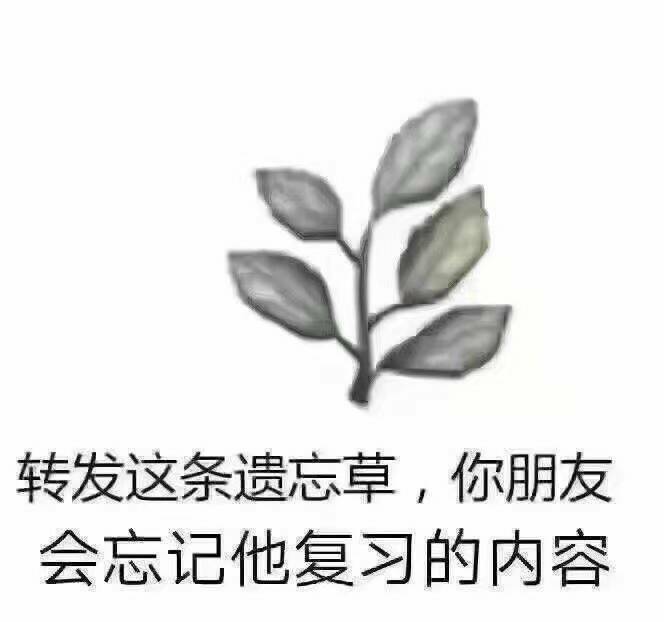 遗忘艹