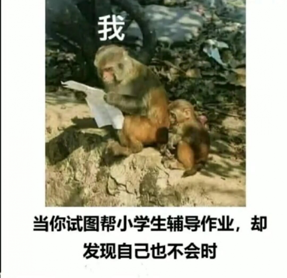 草