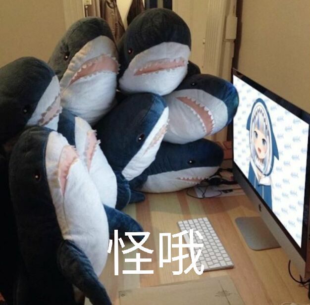 怪哦