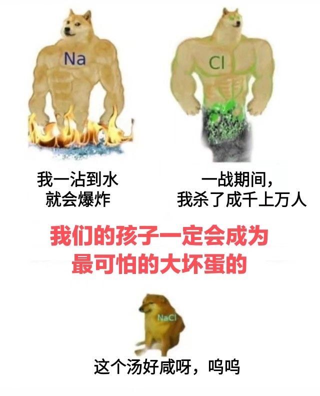 怪才
