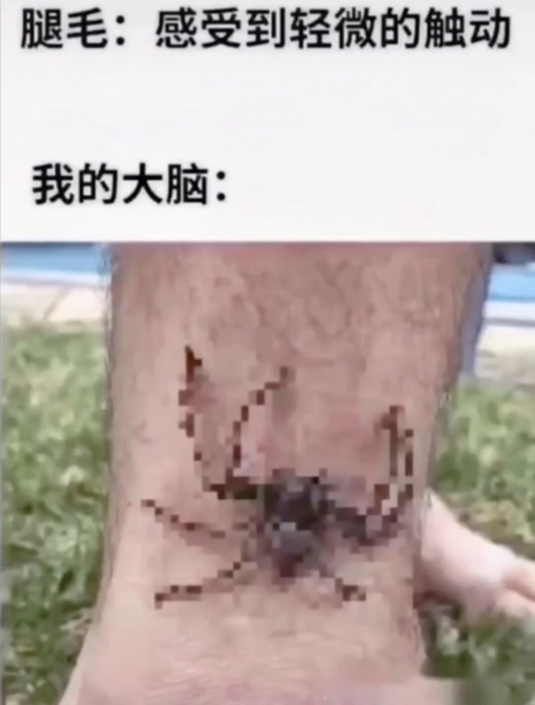 草