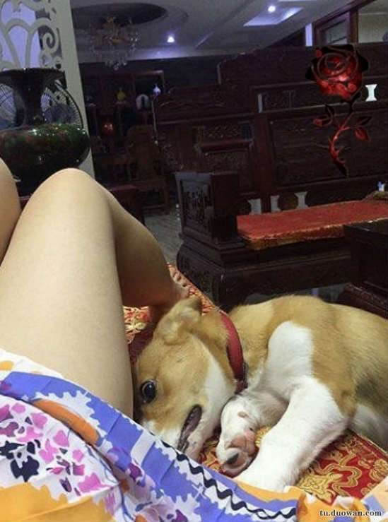 窝,看见了天堂
