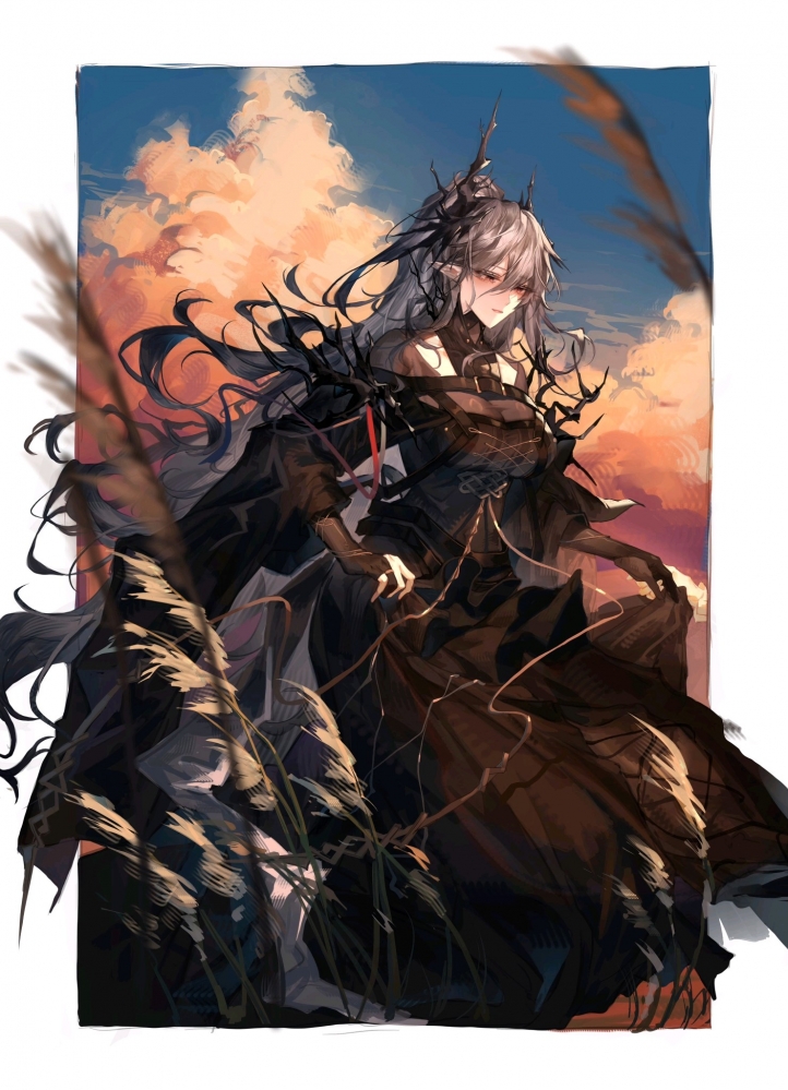 倪克丝的大致形象