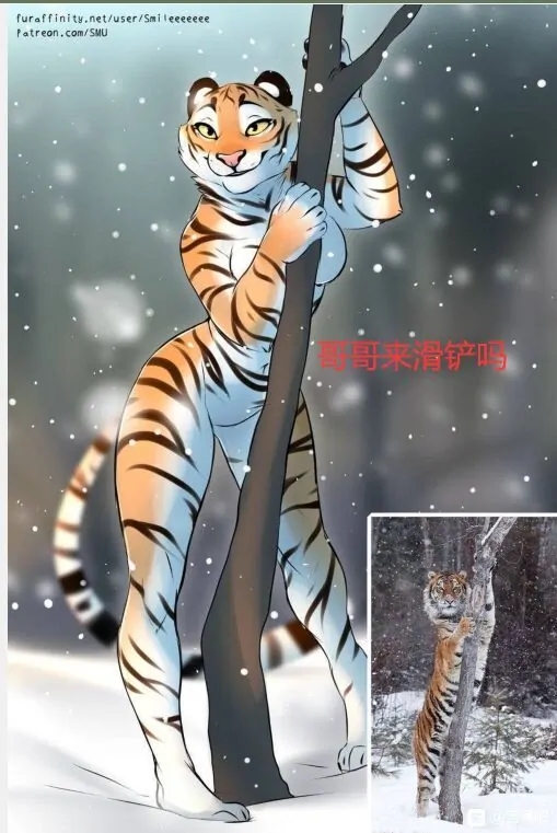 来啊,来滑铲啊~