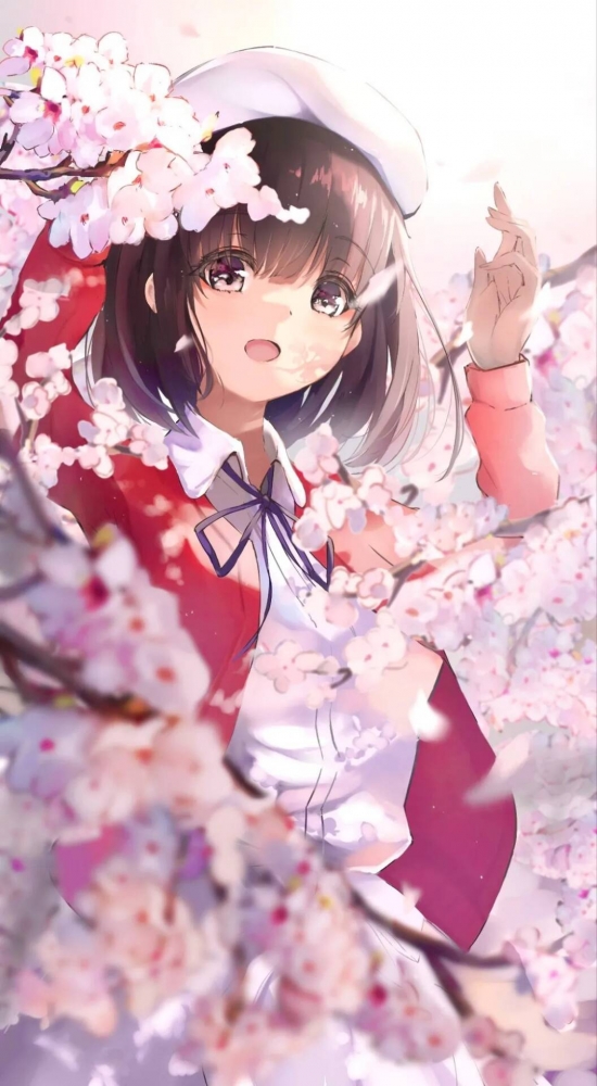 补一张惠