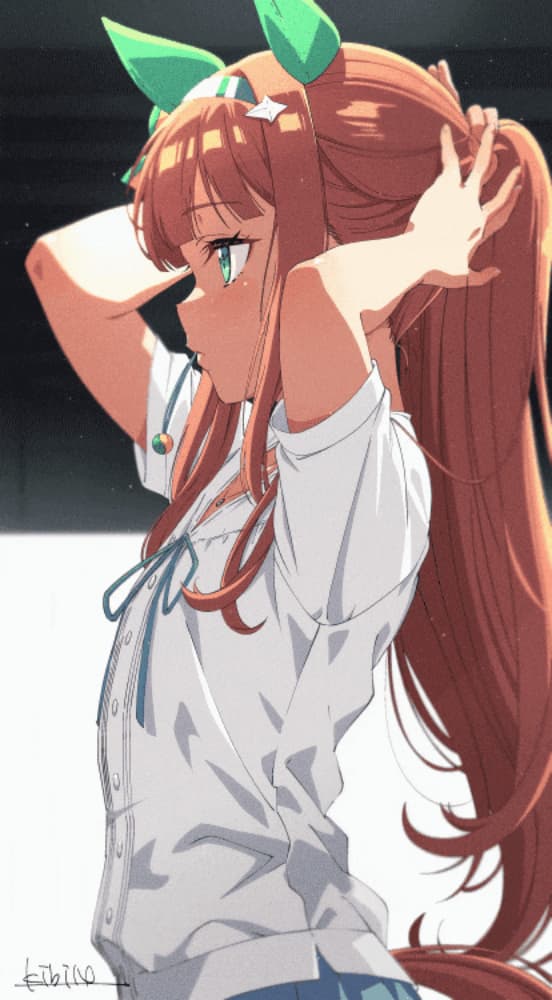 音速的贵公子
