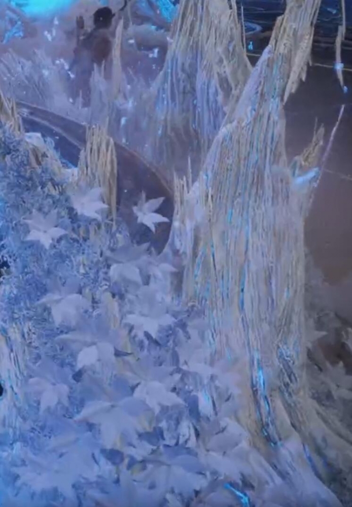 世界树上的白色花朵