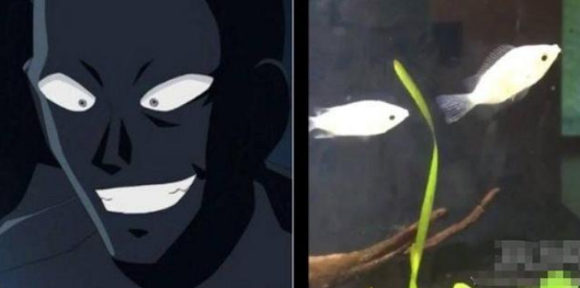 整活cos