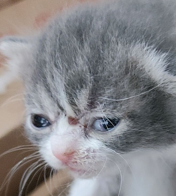 后续2