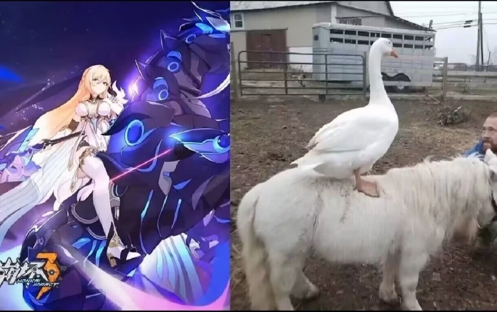 草