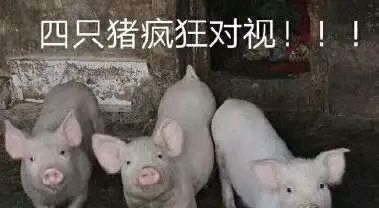 欸嘿