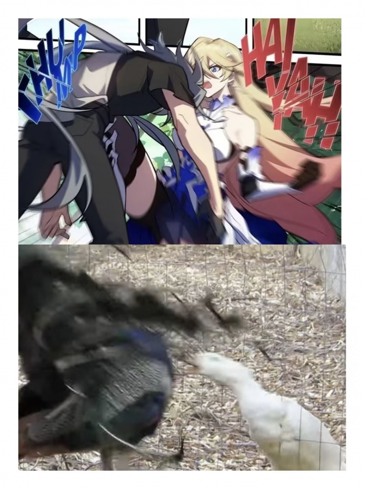 草