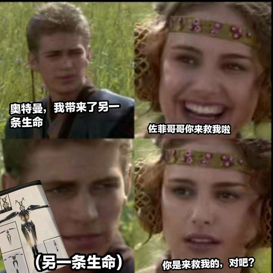 好想看新奥