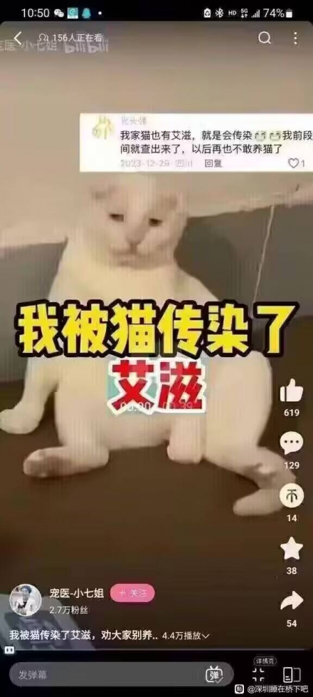 猫怎么能背这么大的锅