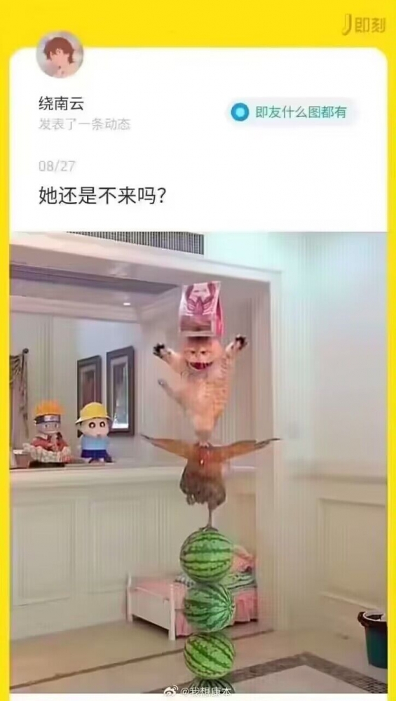 好猫猫