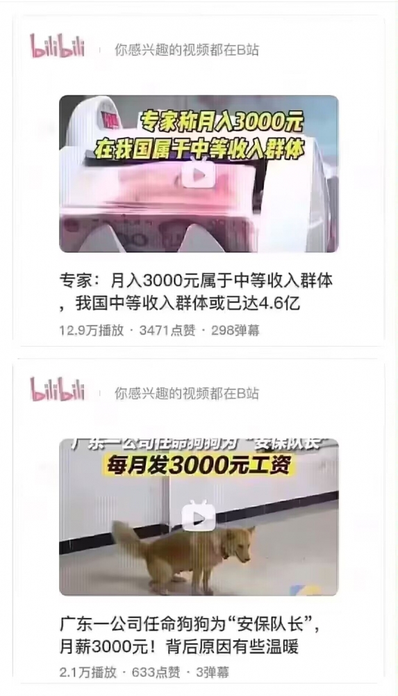 人不如狗