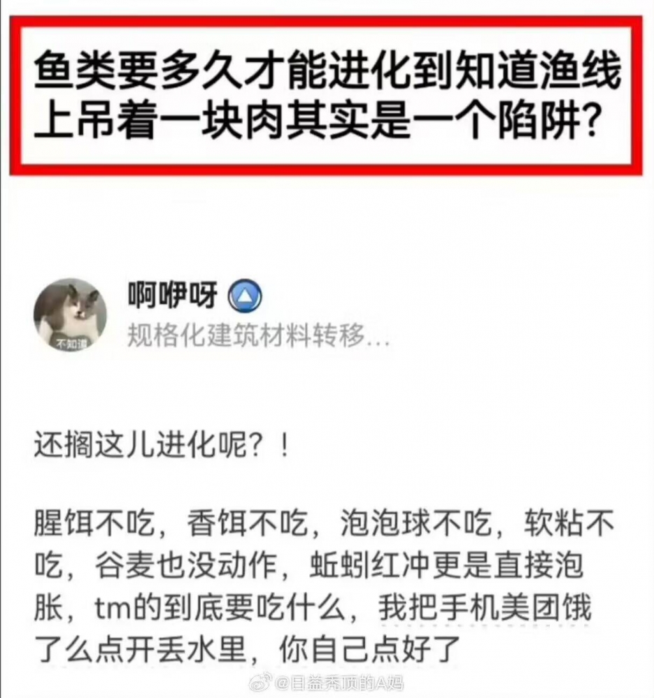 钓鱼捞的怨念