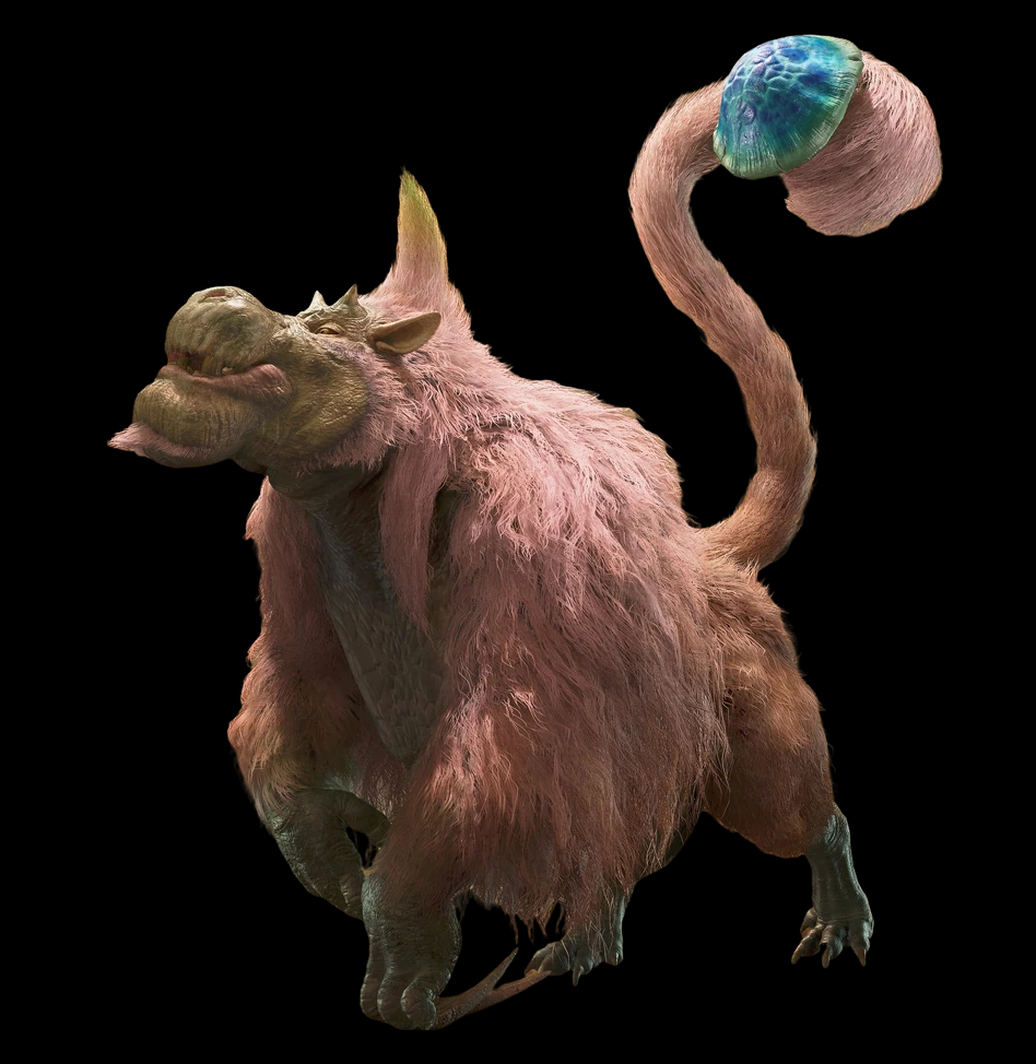 头顶真是尖尖的