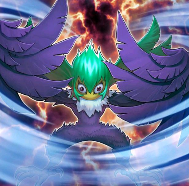 黑羽·疾风之盖尔