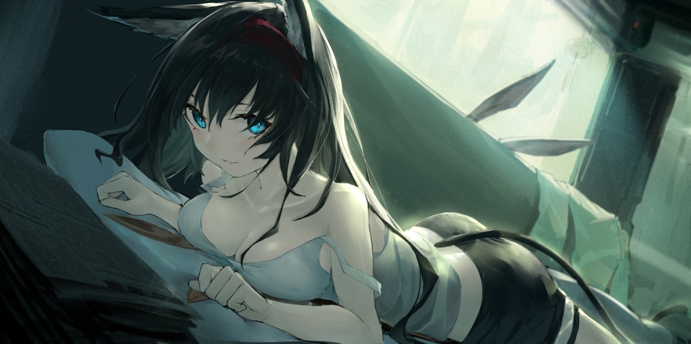 猫猫后面的兔耳朵！