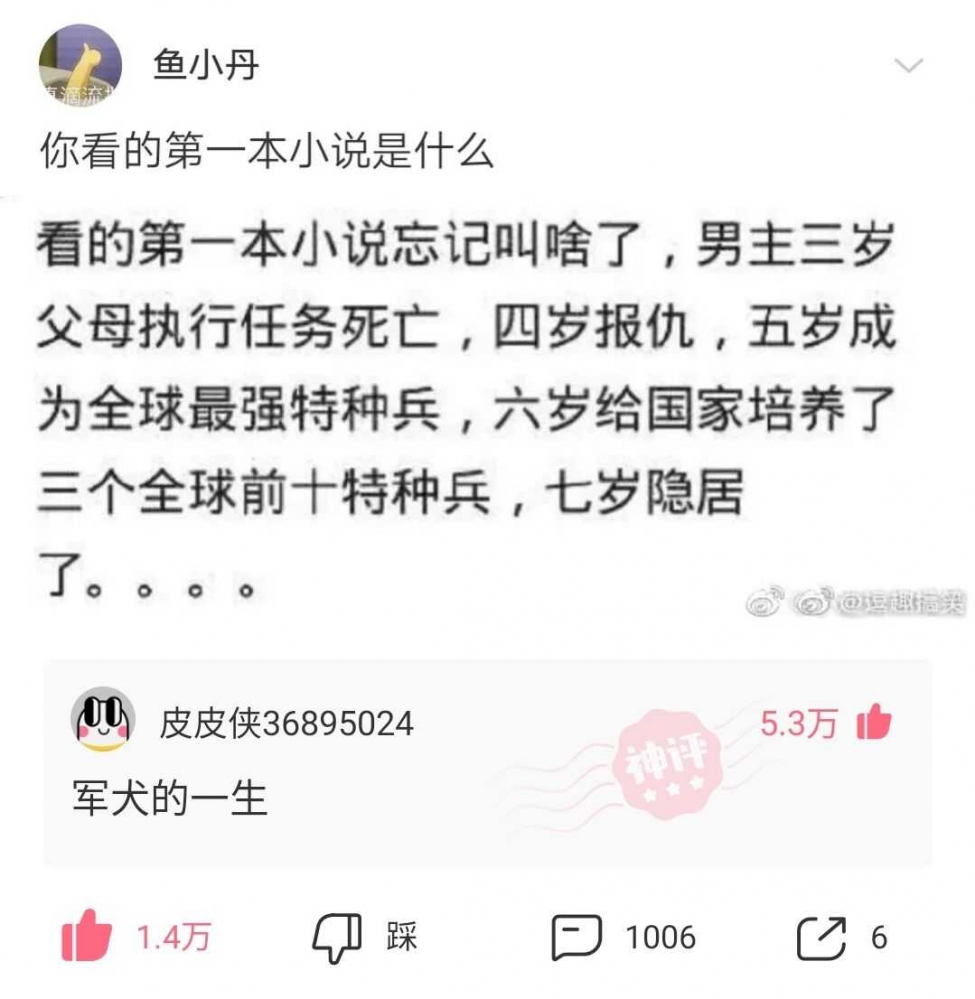 沙雕网文