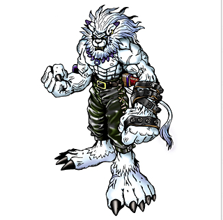 白狮兽…其实就染了毛