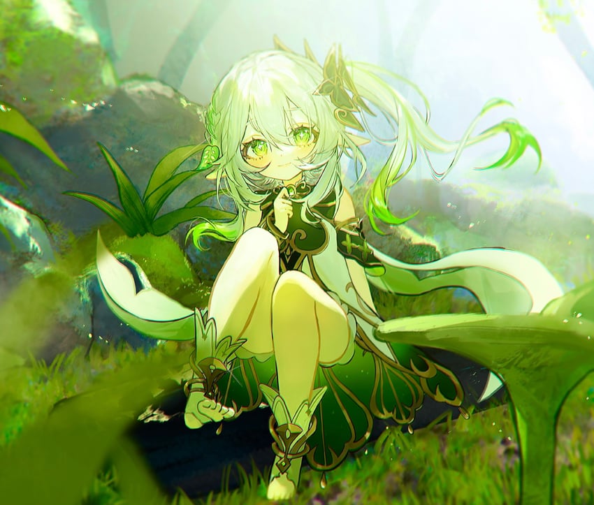 纳西妲妲妲妲妲！