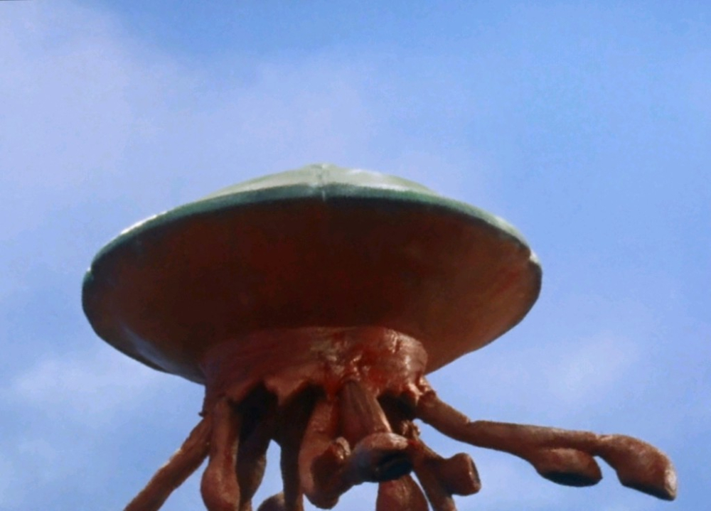 圆盘生物-阿布索巴