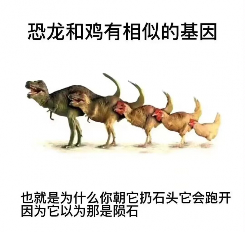 沙雕图