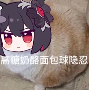 气鼓鼓的狸花！
