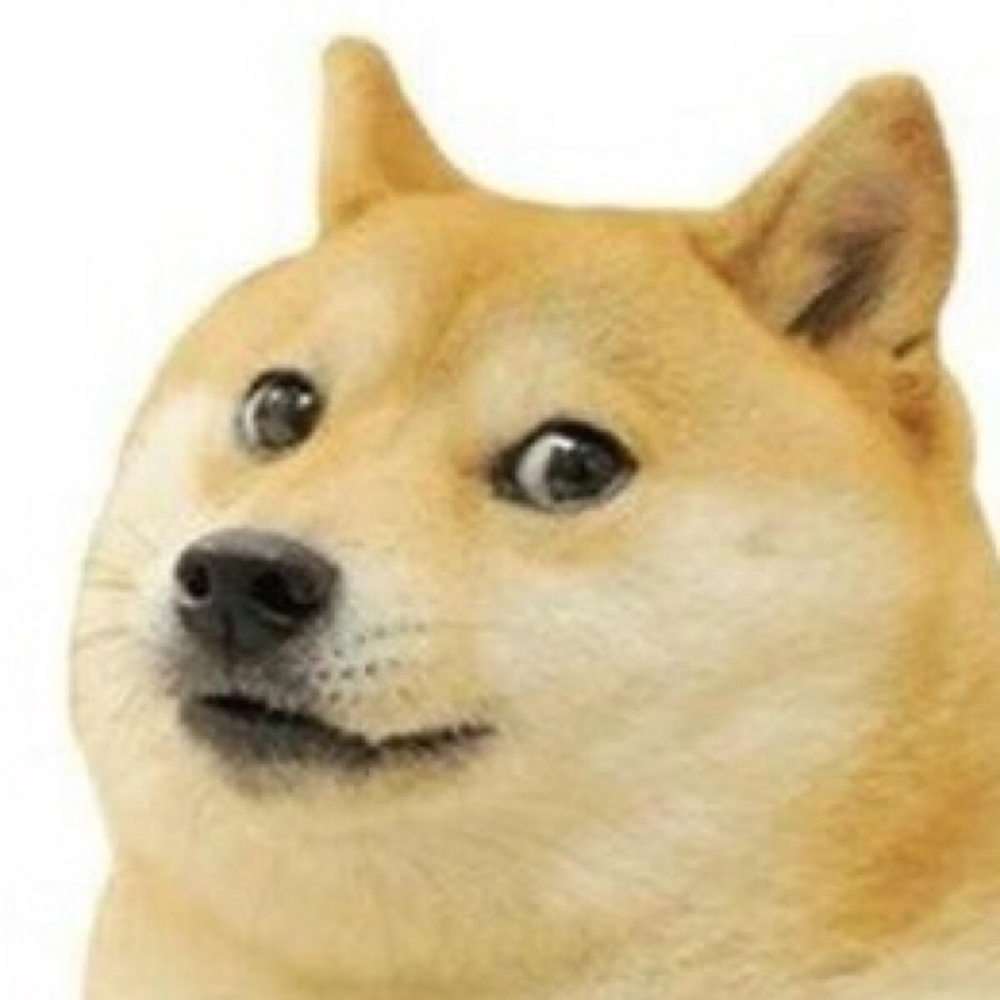 doge.jpg