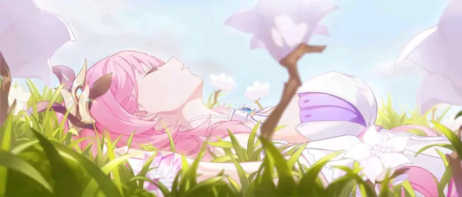 当花朵再度绽放