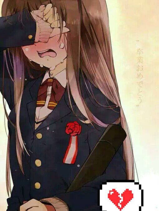 怎么没有票了啊