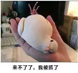 本人自拍