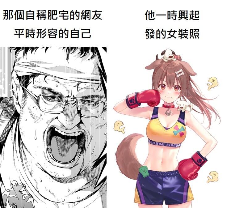 芝