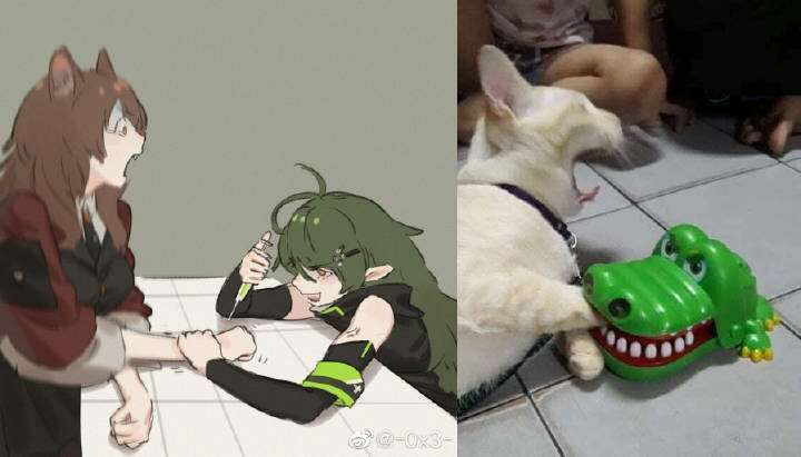 被她治疗过的人都很