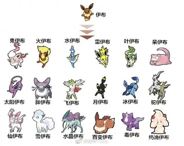 伊布的进化路线