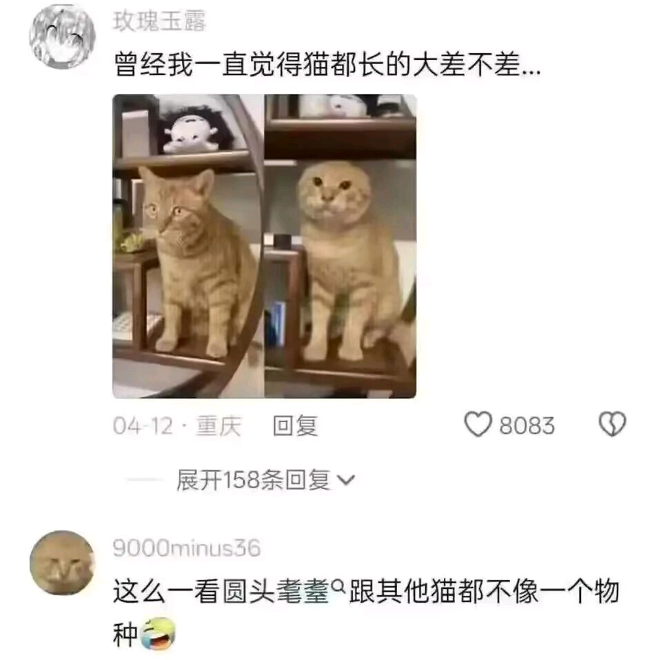 变异了