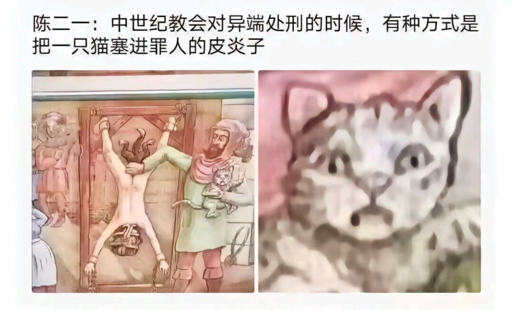 猫，有没有人喂我花生