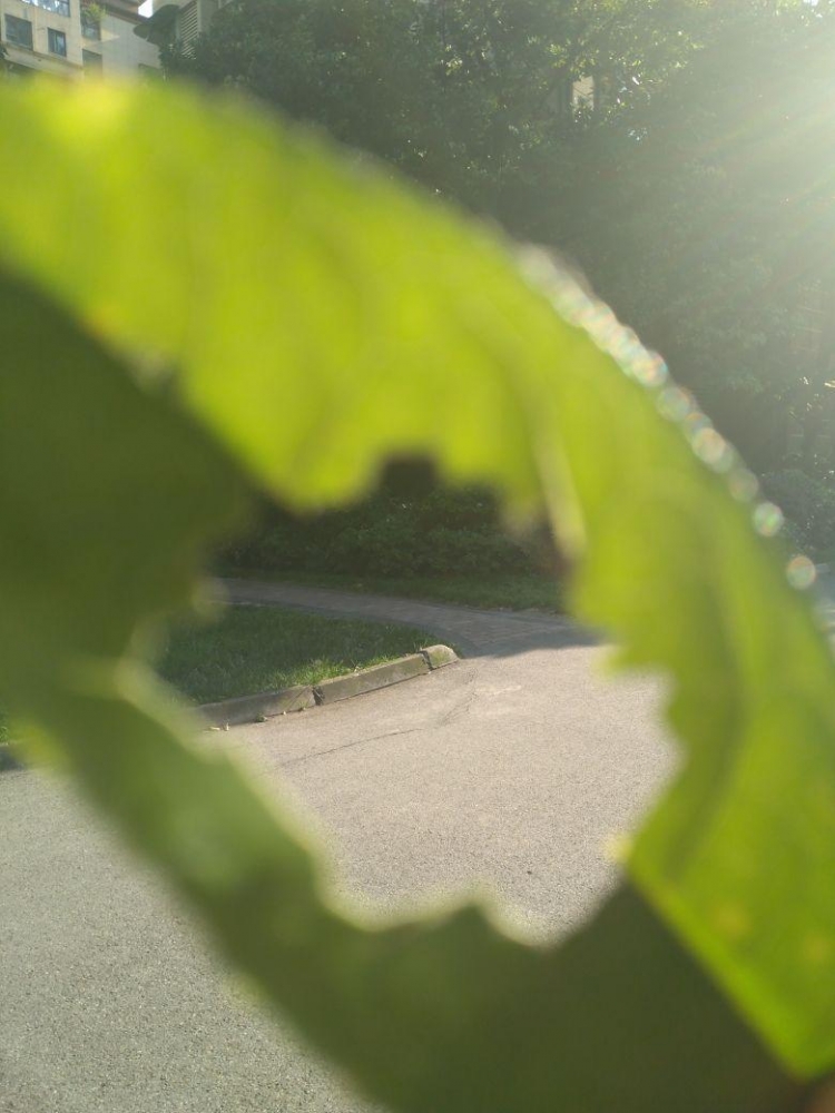 何为真正的梦想