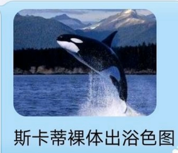 斯卡蒂色图（确信）