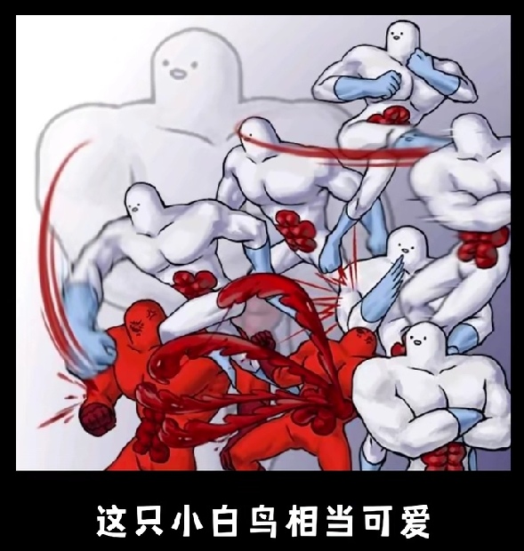 也是好图（小鸟）