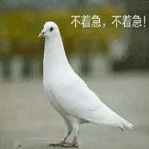 咕咕咕，可爱！