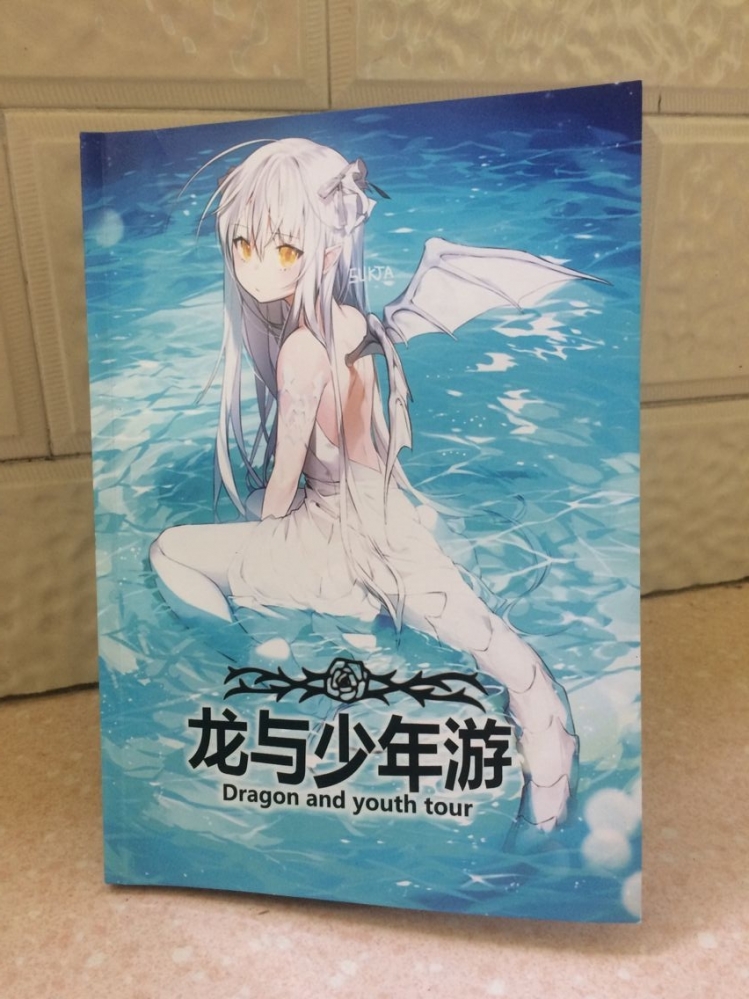 实体书