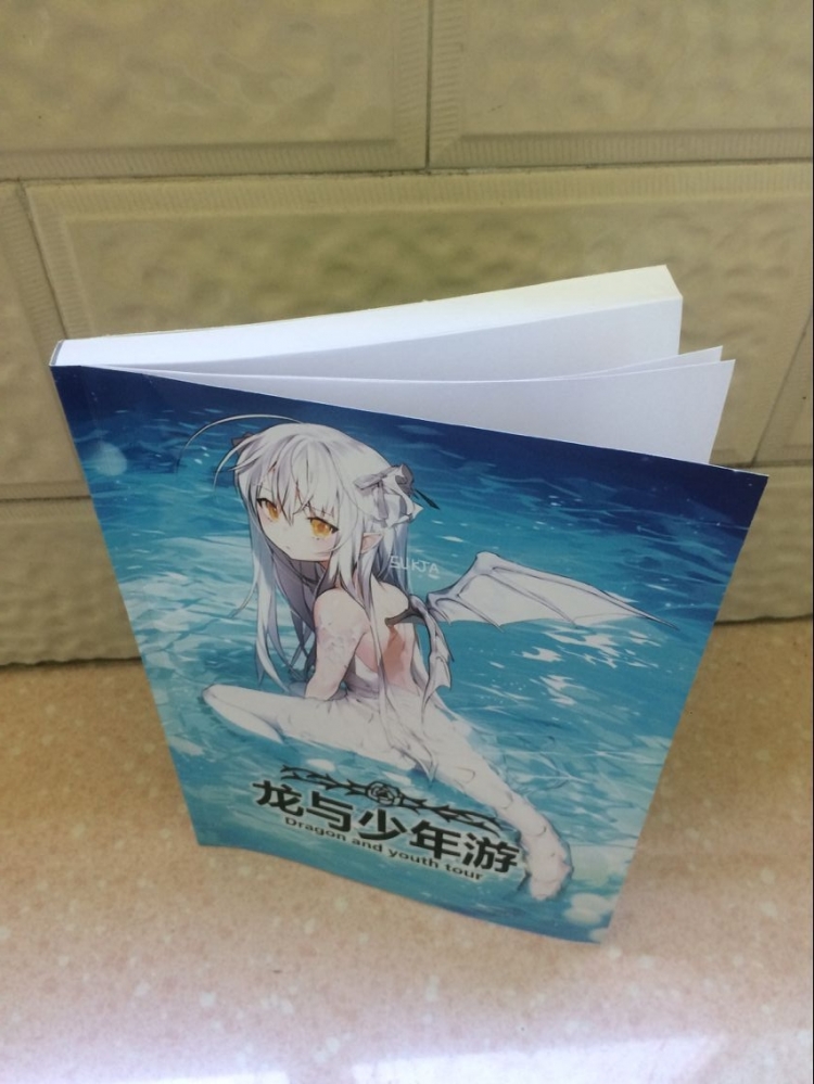 实体书