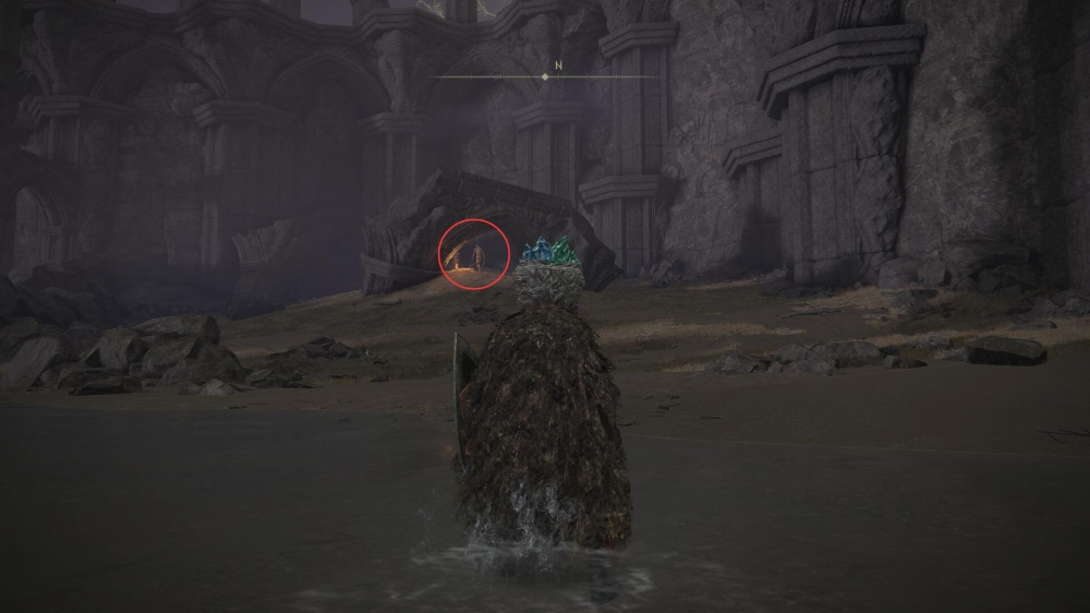 被奎恩赶走的石肤仔