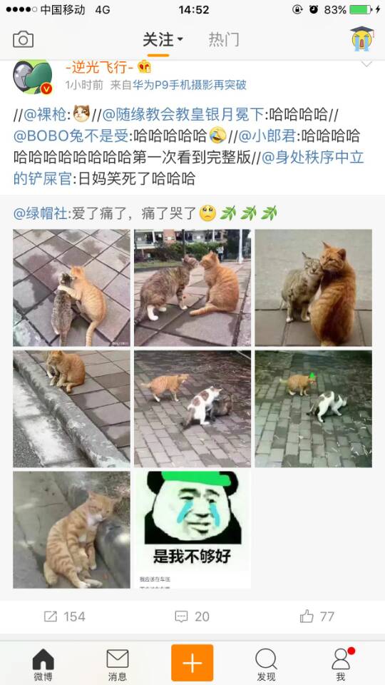 这年头呀，连猫都..